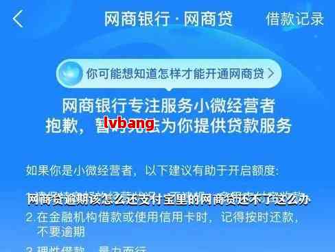 网商贷逾期未还可能面临家访？揭秘相关政策及应对策略