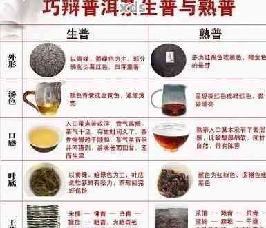 普洱茶与绿茶：味道比较及各自特点分析，为什么普洱茶更受欢迎？