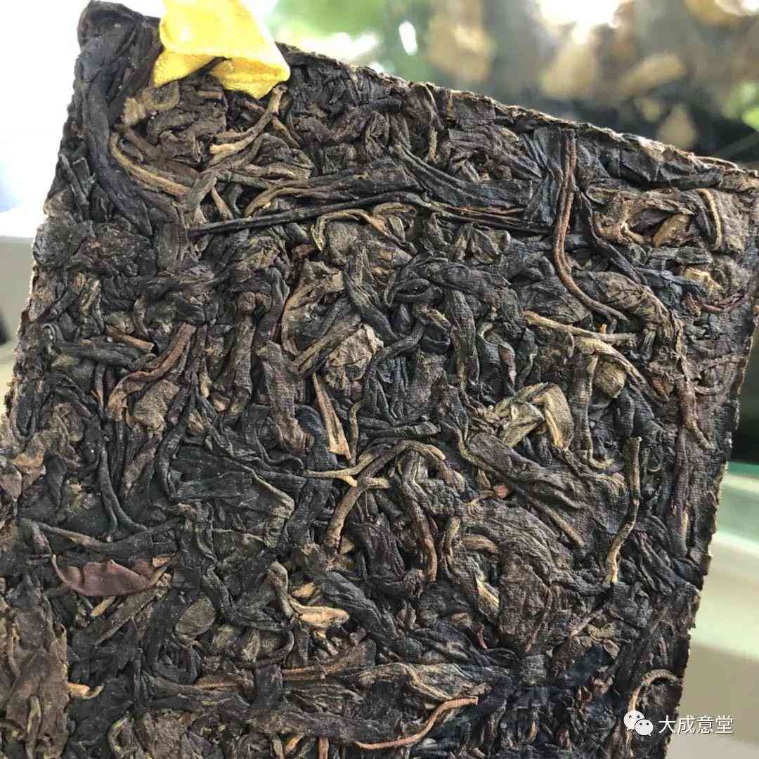 普洱茶冲泡及品饮全指南：冲泡后是否需要洗茶？何时可以品尝？