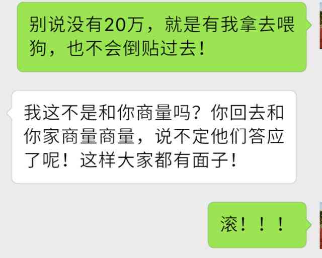 欠账20万紧急需要还钱该怎么办