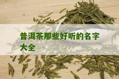 普洱茶淡雅名字大全及价格