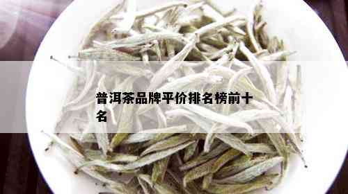 普洱茶淡雅名字大全及价格