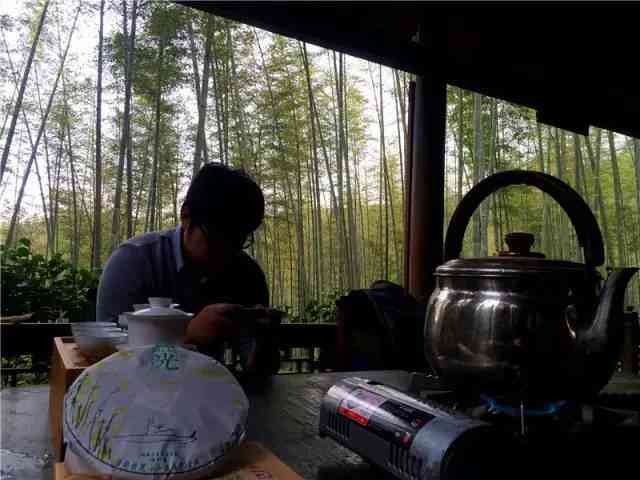 普洱茶饼煮的好还是泡得好：探讨普洱茶饼的两种饮用方式