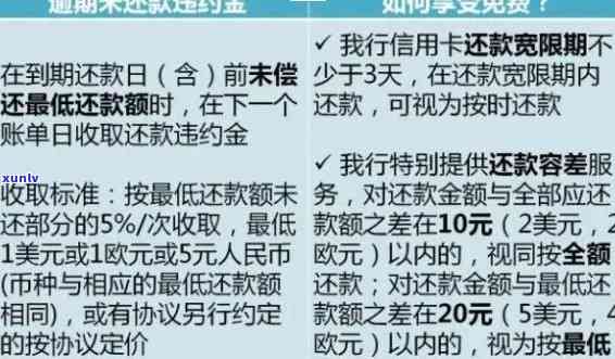 逾期一个月600元费用计算：全面解析相关问题与影响因素