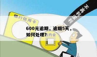 逾期600多块钱怎么处理