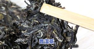 善物普洱茶困鹿山三百年：功效、价格与产地详解