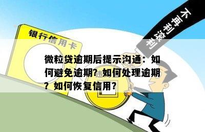 微粒贷、花呗、信用卡逾期解决方案：如何避免逾期风险和恢复信用？