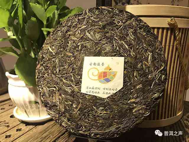 普洱茶压饼与散茶哪个好：区别与比较