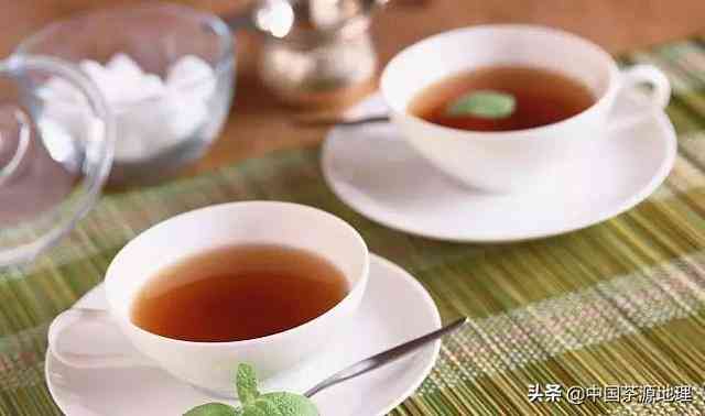 普洱茶：六大茶类中的红茶代表吗？揭秘普洱茶的种类与特点