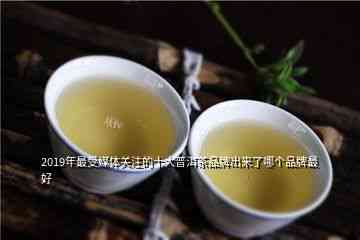 什么牌子普洱茶高端：优质品味的选择与推荐