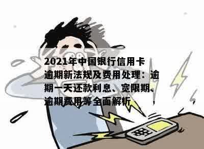 中国信用卡逾期怎么办理期还款：2021年新法规详解