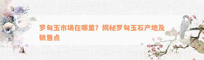 罗甸和田玉原料批发厂地址：请问具     置？