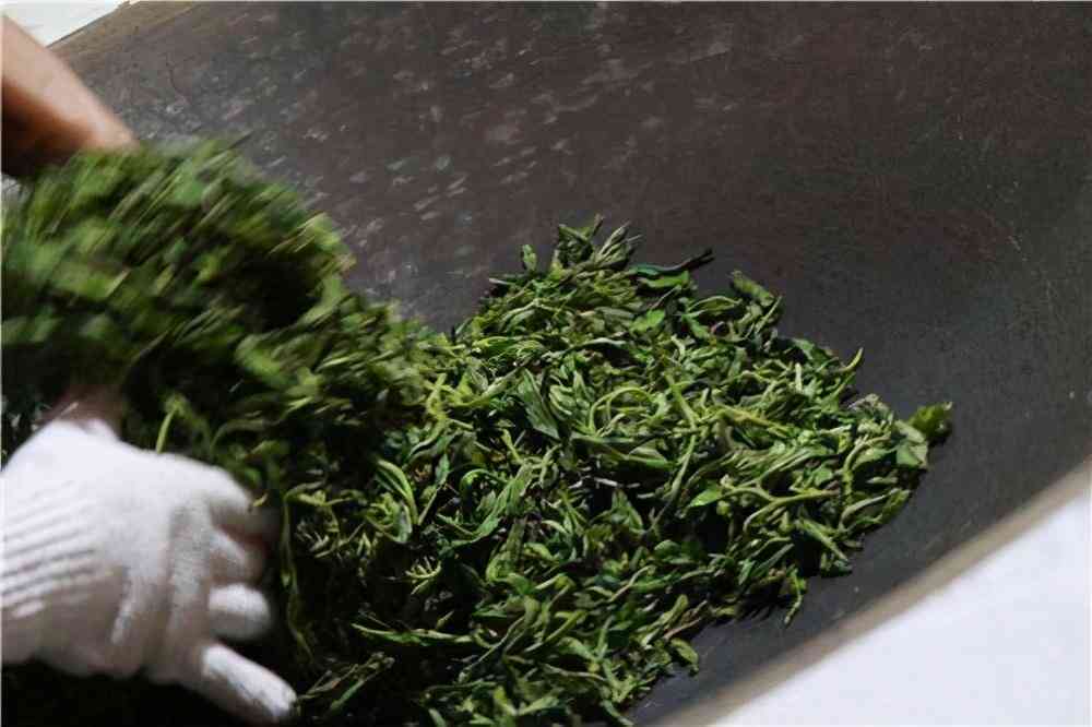 广东清远普洱茶产地：哪里的茶叶？