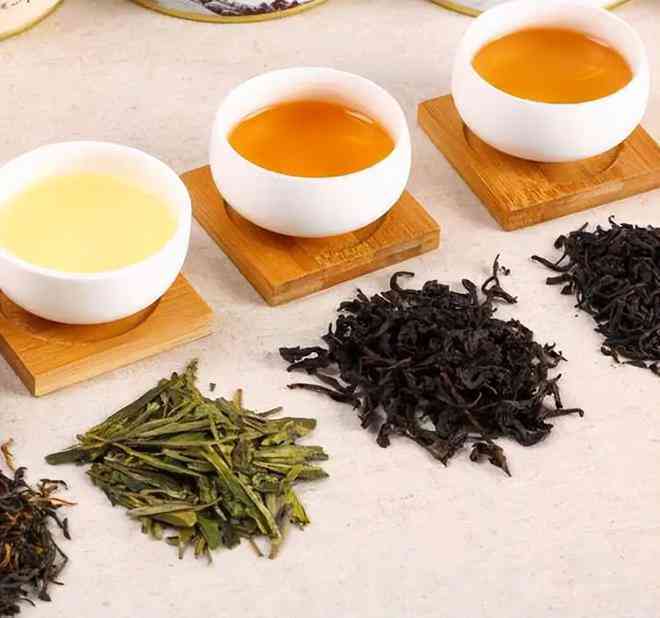 红茶与绿茶：哪种茶更适合全年饮用？