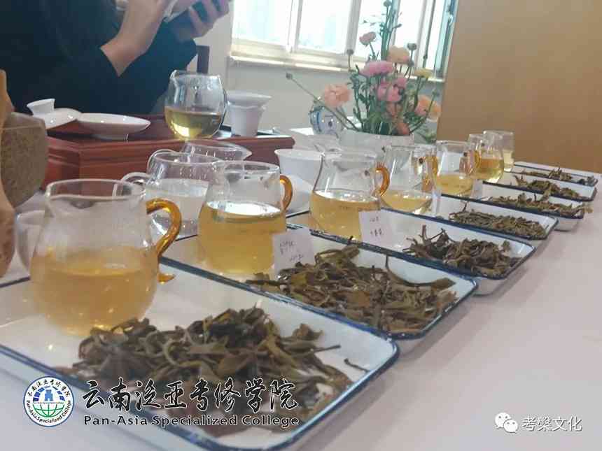 丽江四方茶庄：品茗环境、茶叶品种与泡茶技巧的全方位解析