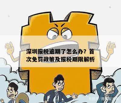 深圳报税逾期了怎么办：首次免罚、处理流程及处罚标准