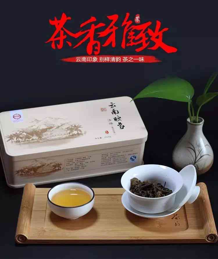 闻普洱茶