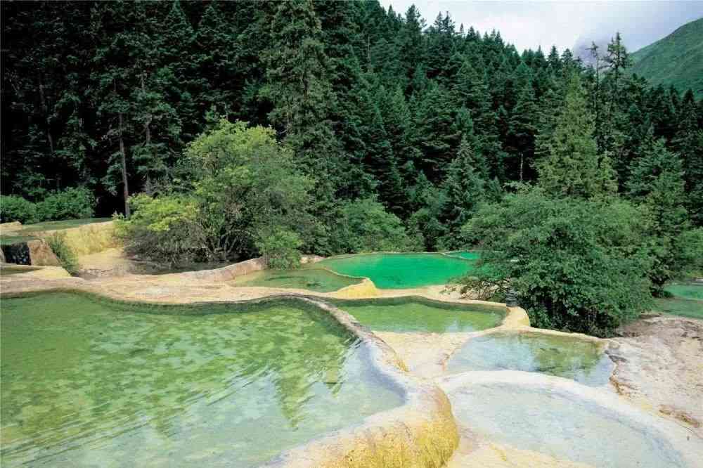 寻找九寨沟专业导游：当地文化深度体验之旅，四川旅游不贵实惠！