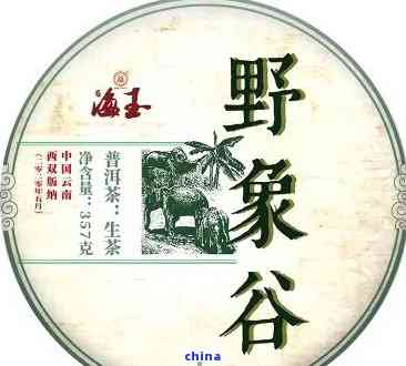 全面了解野象谷普洱茶：香味如何？口感如何？品质如何？是否值得购买？