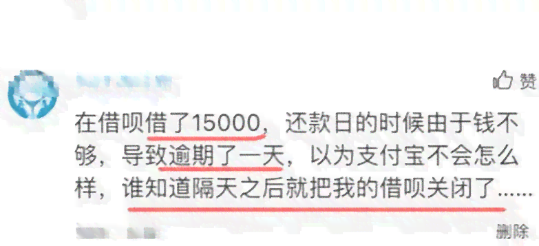 逾期一个月后，我应该如何尽快还清借呗的欠款？