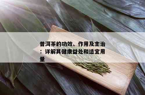 普洱茶的药用成分与健效益：一文解析其功效、适用人群及注意事项