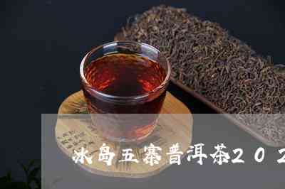 21年冰岛普洱茶还能买吗