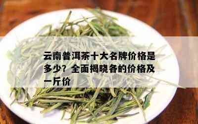 云南41号普洱茶价格多少