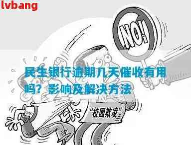 民生信用卡未按时还款：解决策略与影响分析