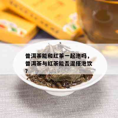 普洱茶名目全解析：好听的名字与品种特性一览无余