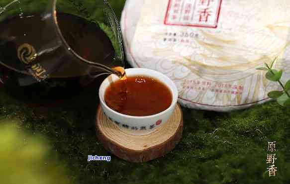 雅云南普洱茶：品味生境，领略陈香