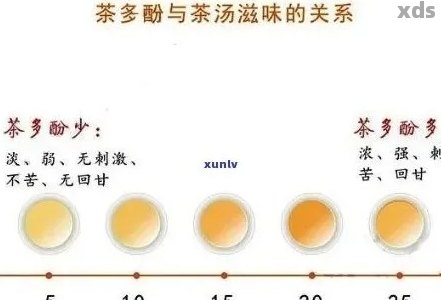 普洱茶多糖的科学原理与健益处：一篇全面的解读