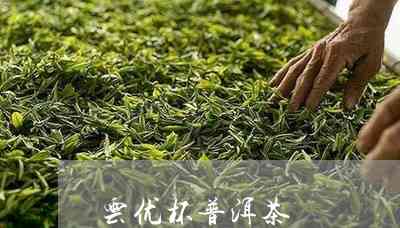 小颗粒装的普洱茶：一种新型茶叶形态探讨及其品质特点