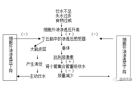 普洱茶的平度：调节酸碱平，是什么意思？