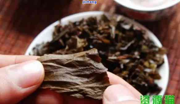 普洱茶茶渣的用途及食用安全问题：能吃吗？怎么吃？有什么用途？