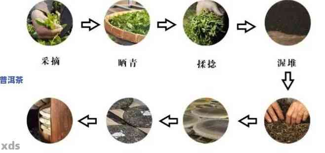 发酵普洱茶的完整流程及其功效