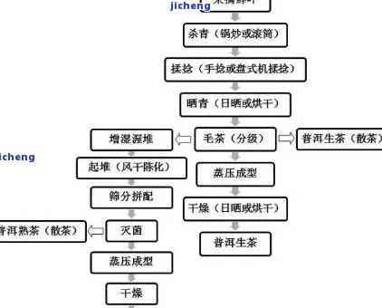 发酵普洱茶的完整流程及其功效