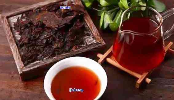 紫茶普洱茶生茶：功效、特点与制作方式详解