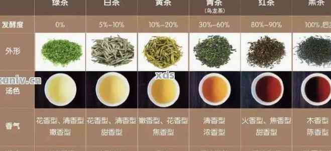 古树普洱茶：红茶与绿茶的对比分析，哪种更适合你的口味？