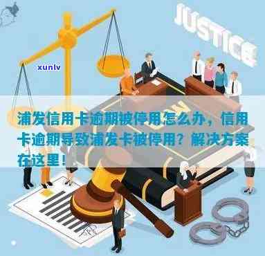 浦发信用卡逾期后被注销，如何重新办理以及解决逾期影响的完整指南