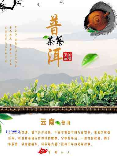 有关普洱茶的公众号有哪些