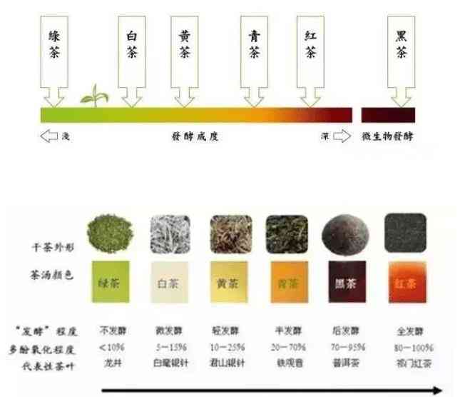 普洱茶：熟茶与生茶在存期限上的差异性探讨