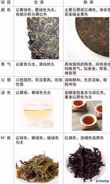 新普洱茶生茶与熟茶的保存时间差异分析，你了解吗？