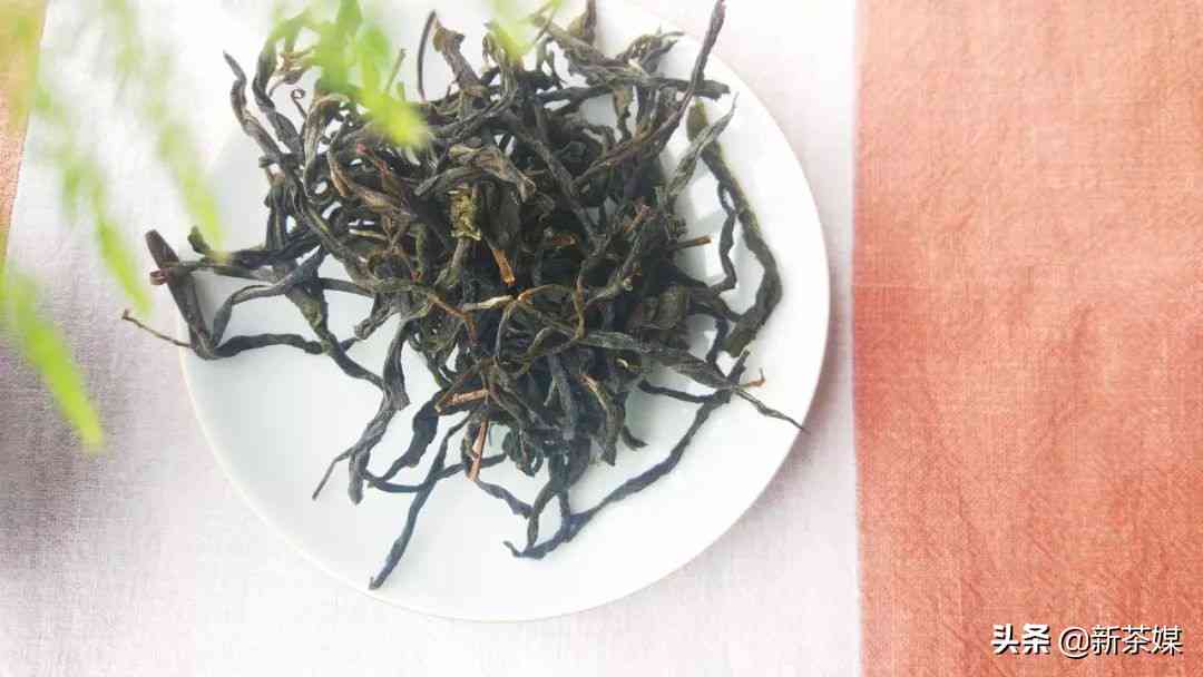 普洱茶的产地及其特点：哪座茶山产出的普洱茶最为知名？