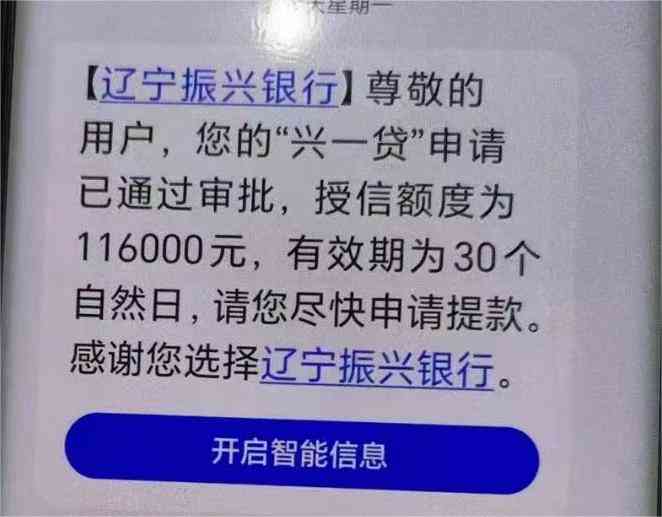 兴一贷贷款申请指南：如何快速获取信用额度？