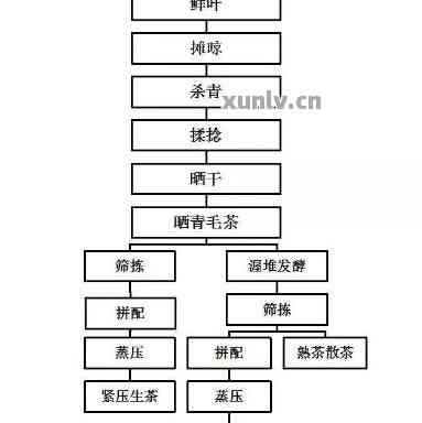 普洱茶的四个制作工序及其种类：详细解析与比较