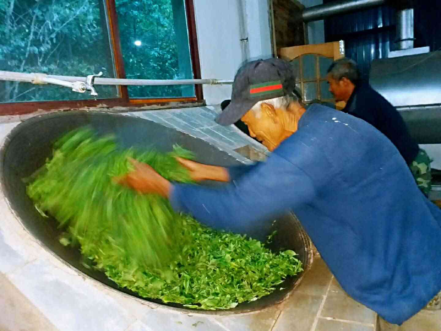 '普洱茶制作工序与标准：十二道工序详解'