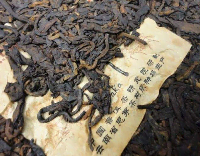 帕卡普洱茶