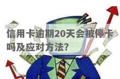 信用卡逾期20天会被停卡吗