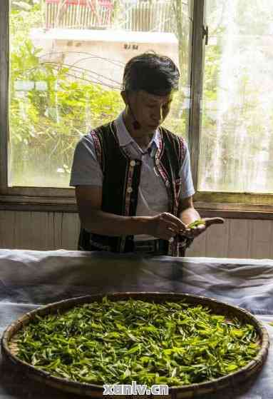 普洱茶王师：揭秘中国十大名茶的制作秘密