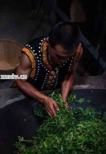 普洱茶王师：揭秘中国十大名茶的制作秘密